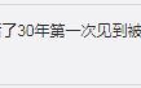 鳄鱼会淹死吗 鳄鱼会淹死吗为什么